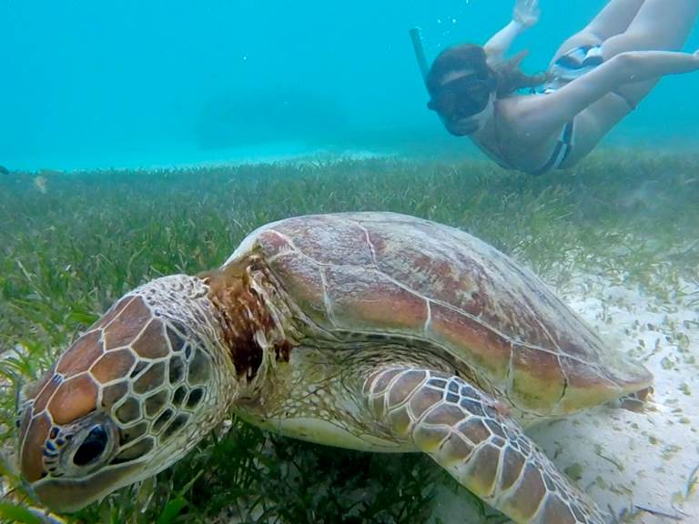 Capture d’e´cran 2017-07-05 a` 08-gallery